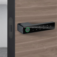 Электронная ручка Dircode P30