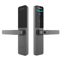 Philips Easykey DDL615-5HBS - 252